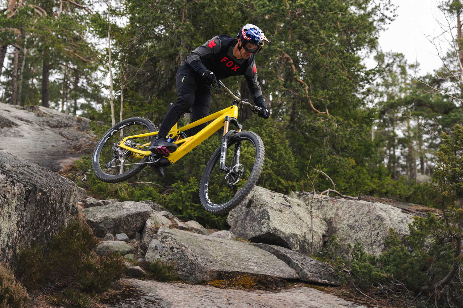 MTB Cyclist on Orbea Wild LT