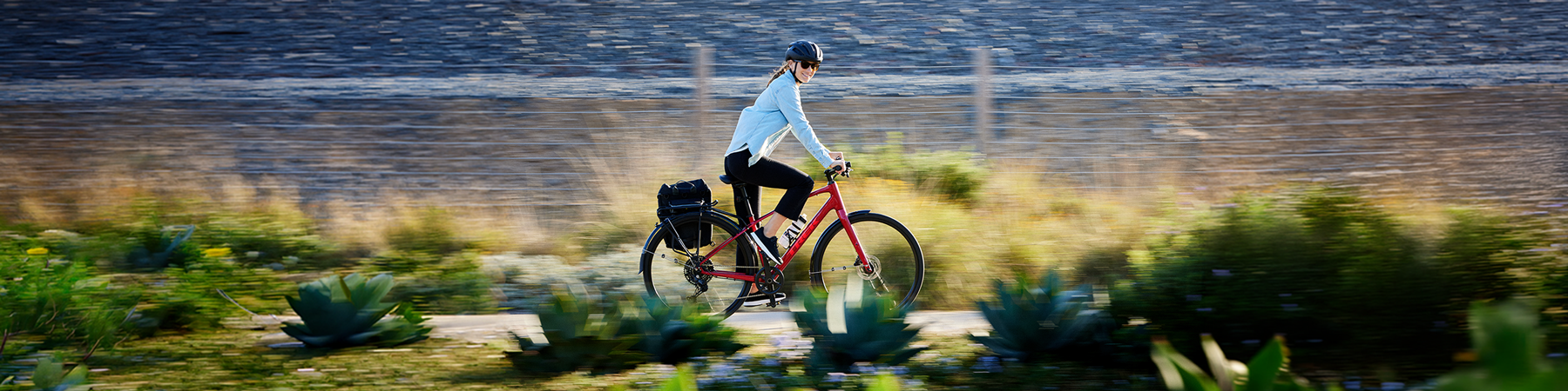 Bike Rentals Are Now Available at Cycle Paul
