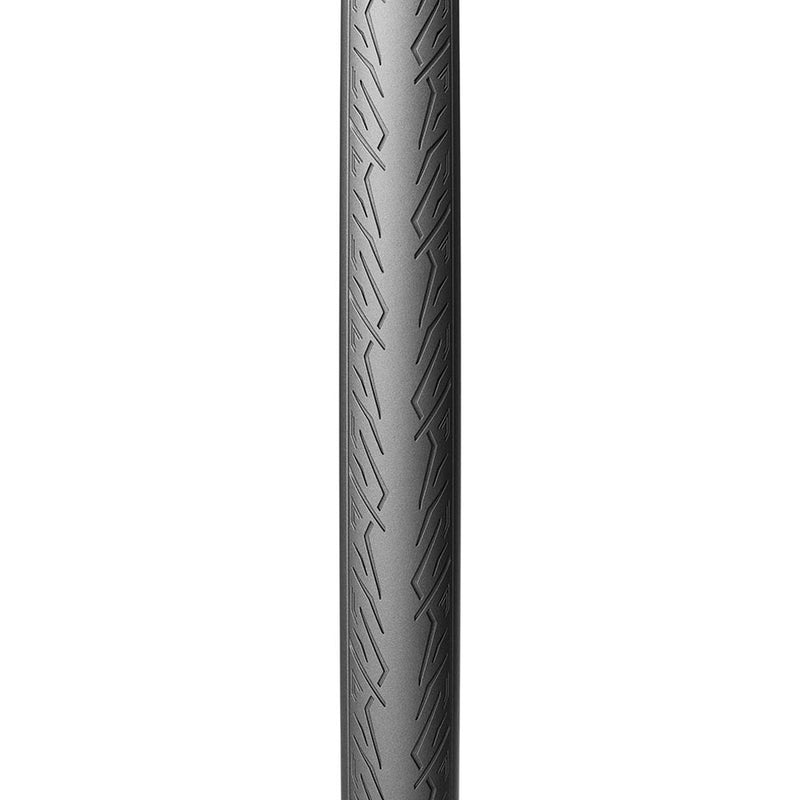 Cinturato Sport