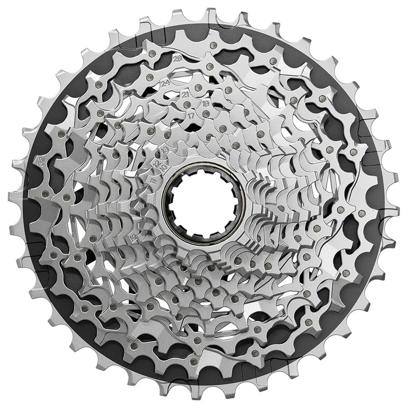 Bicycle gear cassette on a white background
