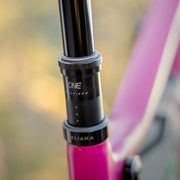 Close-up of a bicycle suspension fork with 'ULIANA' branding on a blurred natural background