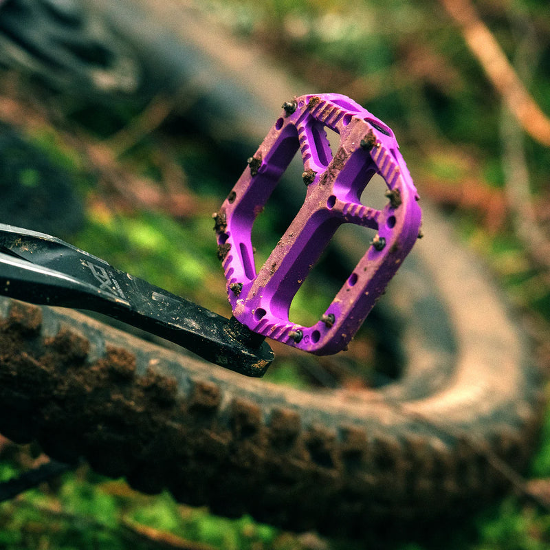Close-up of a purple bike chainring with a blurred natural background