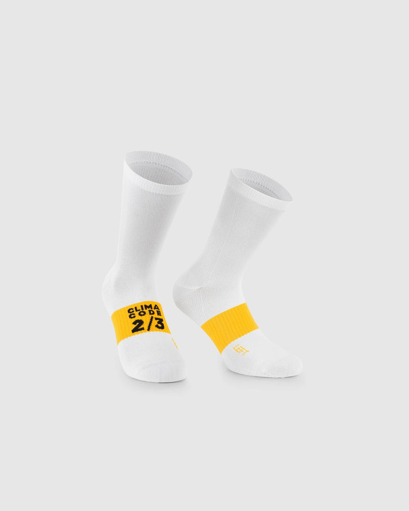 Spring Fall Socks EVO