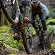 Two mountain bikers riding through a forest trail
