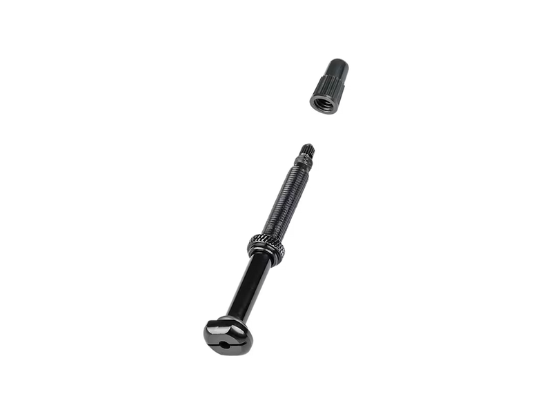 Two black screws on a white background