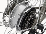 Closeup of chain on grey bike (Electra Loft Go! 7D EQ Step-Over)
