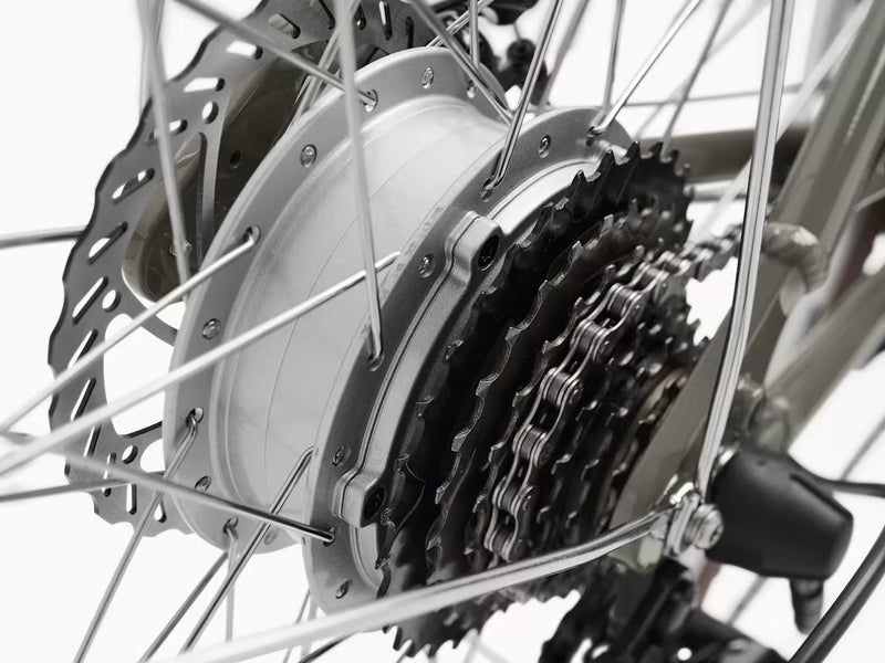 Closeup of chain on grey bike (Electra Loft Go! 7D EQ Step-Over)
