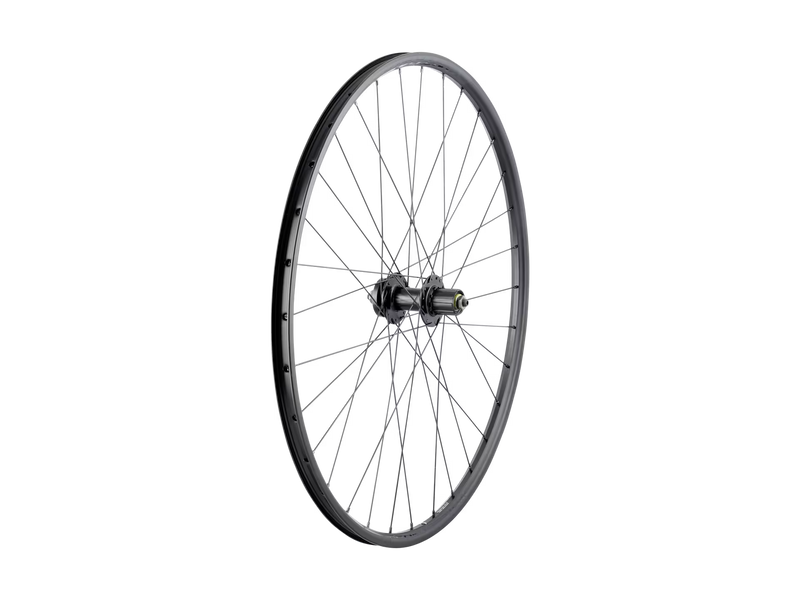 Bontrager Connection 29˝ Schrader 6-Bolt Disc MTB Wheel
