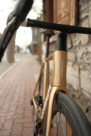Orca M30ILTD PWR in Metallic Gold finish against a brick wall, front frame view