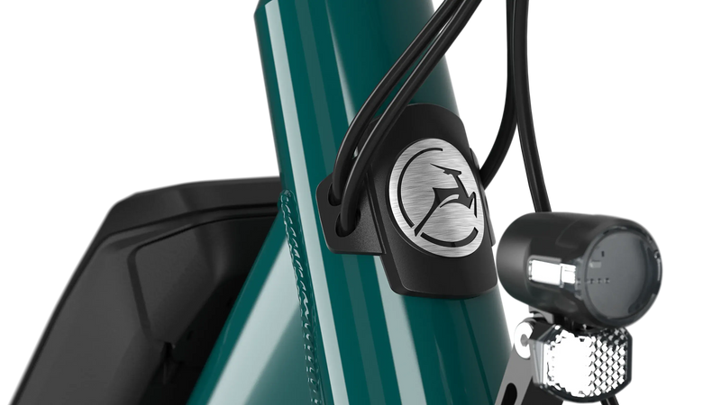 Gazelle Medeo T9 City