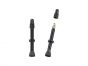 Valve Tubeless (Pair)